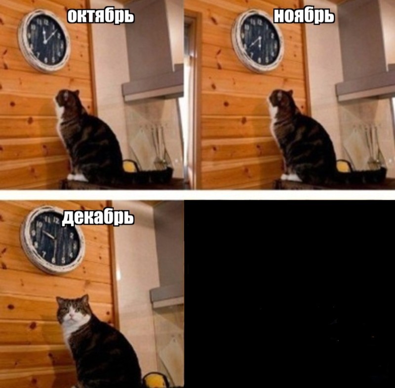 Create meme: and watch cat meme, cat meme , meme with a cat and a clock