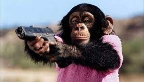 Create meme: monkey, chimpanzees, monkey see monkey do