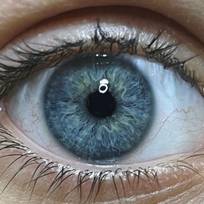 Create meme: blue eyes , gray-blue eyes, pupil of the eye