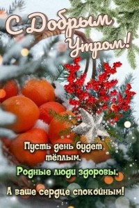 Создать мем: прекрасного настроения, мандарины на снегу, хорошего дня и прекрасного настроения