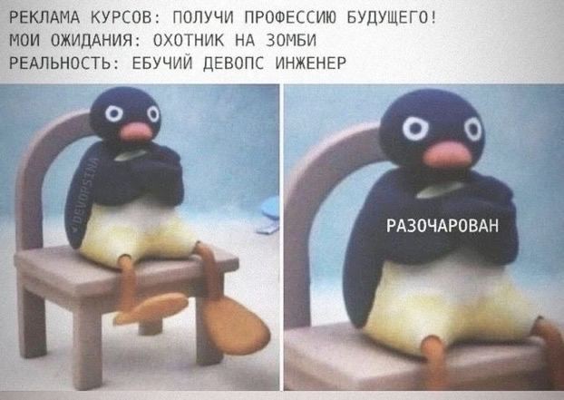 Создать мем: мем с пингвином, пингвин на стуле, недовольный пингвин на стуле