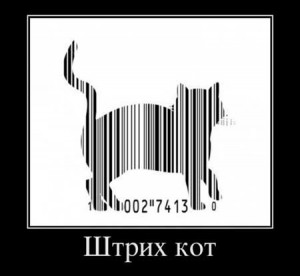 Create meme: bar cat pictures, touch, barcode