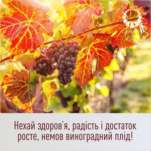 Create meme: vineyard, nature, grapes