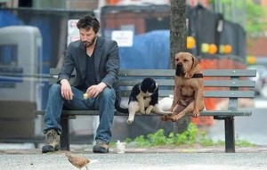 Create meme: sad Keanu, demotivator sad Keanu Reeves, Keanu Reeves on a bench