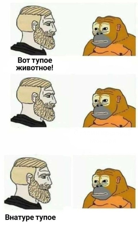 Создать мем: смешные мемы, мемы для русских, популярные мемы