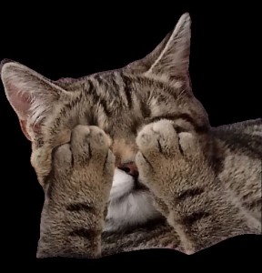 Create meme: cat facepalm, cat, animals cute