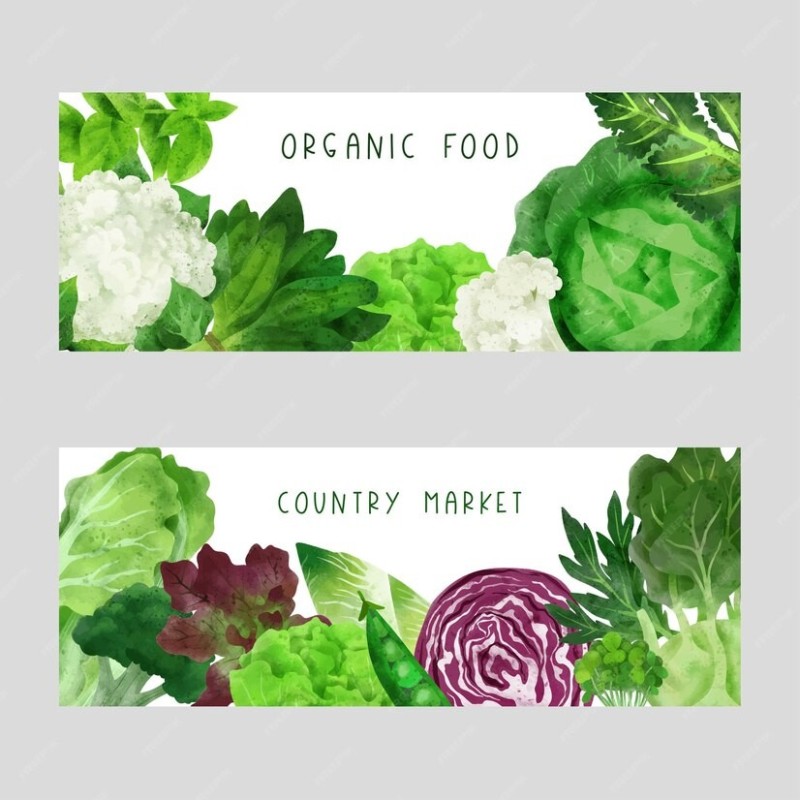 Create meme: vegetables banner, cauliflower vector, vector lettuce leaf