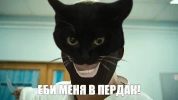 Create meme: the cat the vampire, interns , cat 