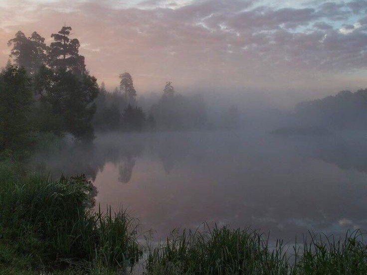 Create meme: misty dawn, dawn river fog, foggy morning