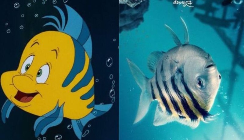 Create meme: fish flounder, ariel 's fish, little mermaid fish