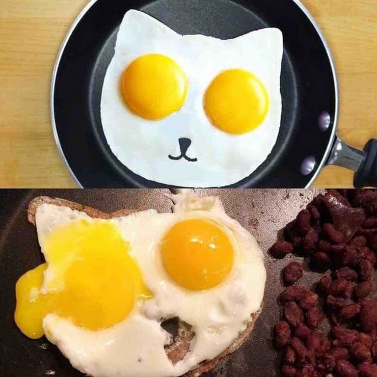 Create meme: scrambled eggs , funny scrambled eggs, good morning with humor funny