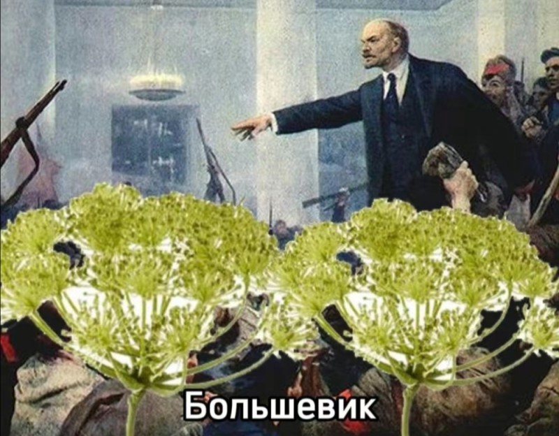 Create meme: Vladimir Ilyich Lenin , the great October revolution, the revolution of 1917 in Russia