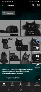 Создать мем: кот юмор, котики приколы мемы, мемы с котами