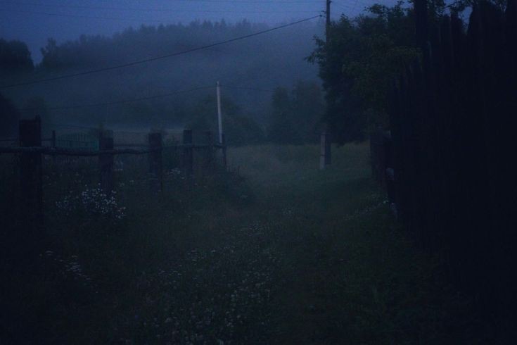 Создать мем: midsummer nights, утренний туман, в деревне