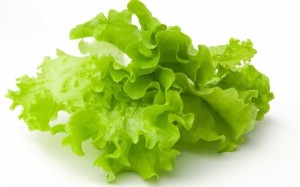 Создать мем: листья салата на белом, лист салата на прозрачном, салат листья салата