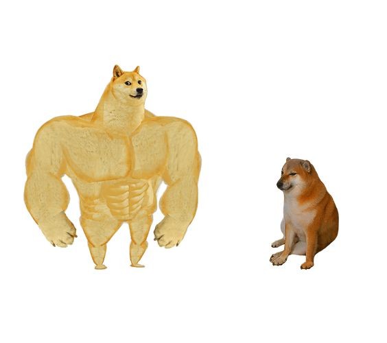 Создать мем: собака с мускулами мем, качок доге и чимс, собака качок