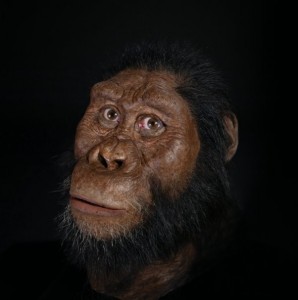 Create meme: Australopithecus afar, Australopithecus Adamski