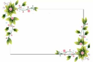 Create meme: frames for text, frame for text, corner flowers on a transparent background