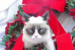 Create meme: grumpy cat, christmas cat, grumpy cat