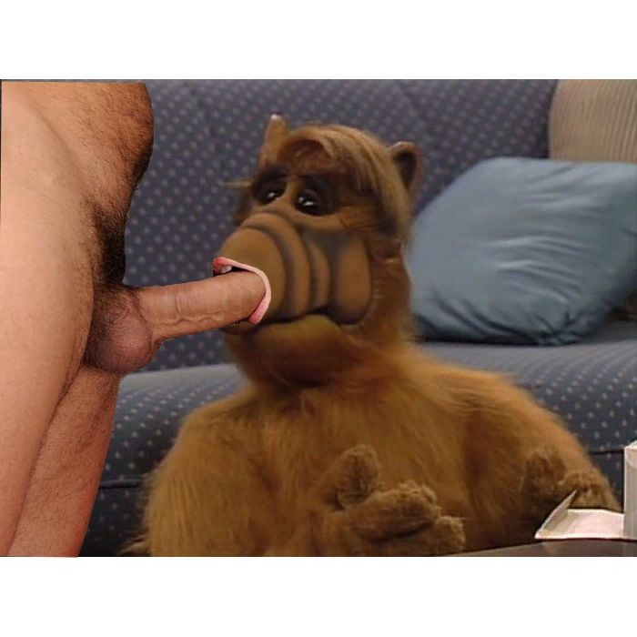 Create meme: Alf series, Gordon shumway, alf 