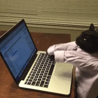 Create meme: the cat is typing on the keyboard, the cat at the computer, cat with laptop