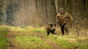 Create meme: wild boar, hunting, the case of the hunt