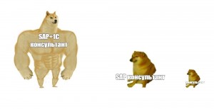 Создать мем: собака с мускулами мем, доге качок, doge качок