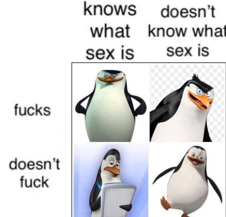 Create meme "the penguins of Madagascar , Rico Kowalski skipper, prvn&...