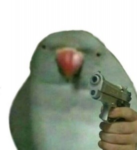 Create meme: parrot, parrot meme, memes parrot with a gun