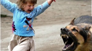 Create meme: a dog attacks a child, bitten by a dog, the dog is aggressive