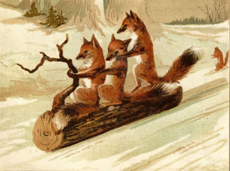Create meme: foxes on a log, fox painting, Fox 