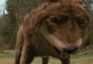 Создать мем: кадр из фильма, джейкоб превращение в волка, сумерки волков