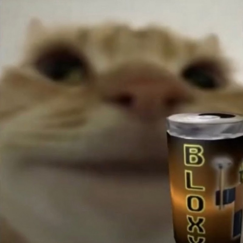Создать мем: котики которые пьют энергетик, коты мемы, напиток bloxy