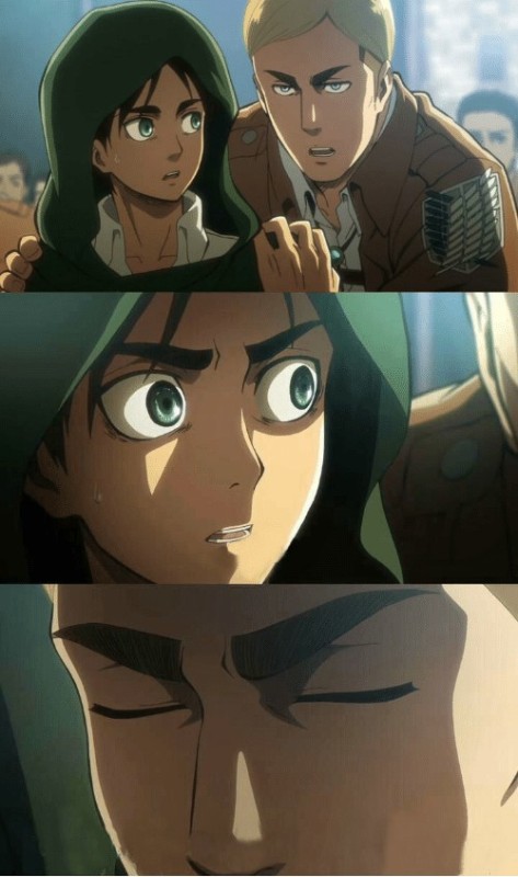 Create meme: sorry that was a strange thing to ask, Attack of the Titans Erwin Smith, attack of the titans 
