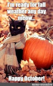 Создать мем: Great Pumpkin, Хэллоуин, осенние коты картинки