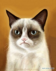 Создать мем: сердитый кот, grumpy cat art, грампи кэт