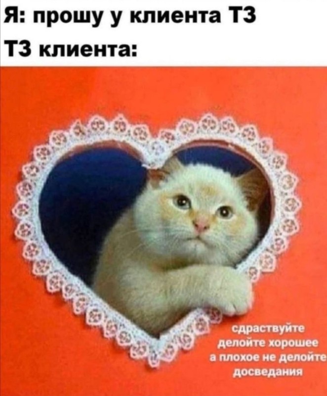 Создать мем: кошка с сердечком, хороший котик, с днем святого валентина котята