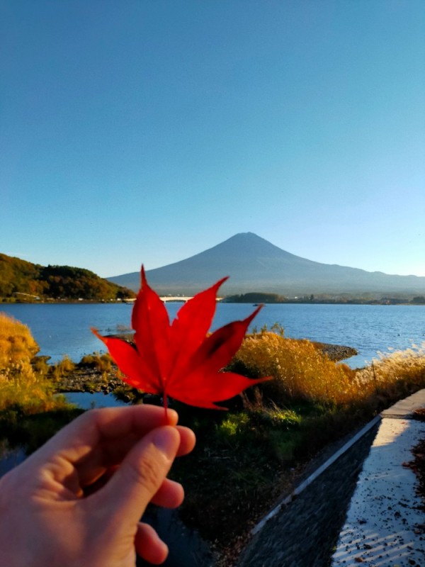 Create meme: Japanese autumn, autumn Japan, beautiful scenery