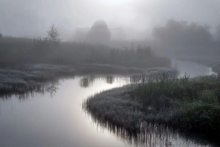 Создать мем: природа туман, холодное утро, озеро рахмановская старица туман