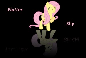Create meme: two sides, mlp, fluttershy and