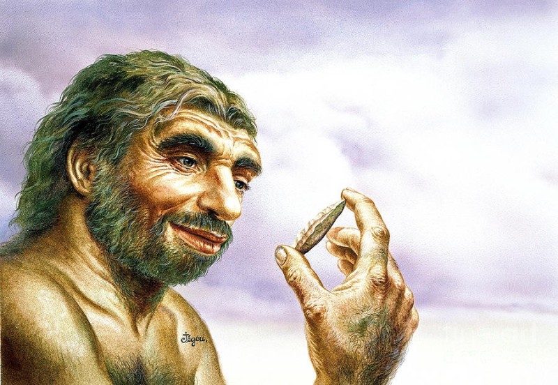 Создать мем: палеоантропы неандертальцы, неандертальцы, эволюция человека хомо сапиенс