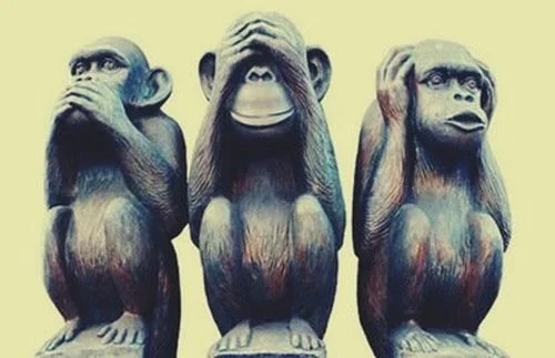 Create meme: three monkeys, monkey painting, three monkeys