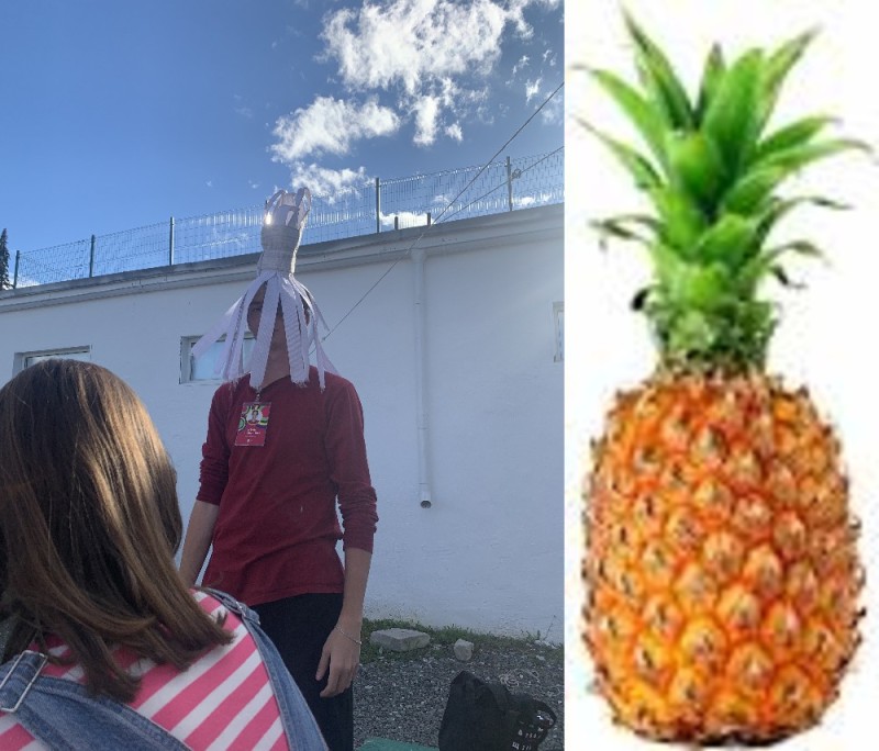 Create meme: pineapple photos, embankment, zemfira