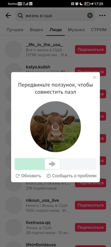 Create meme: instagram followers, cow , cow bull