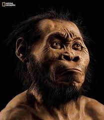 Создать мем: предки человека, homo sapiens, неандерталец