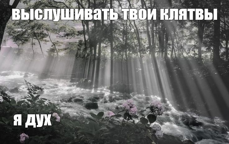 Create meme: nature is black and white, light in the forest, the trick 