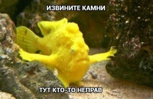 Создать мем: frogfish, fish, рыба смешная