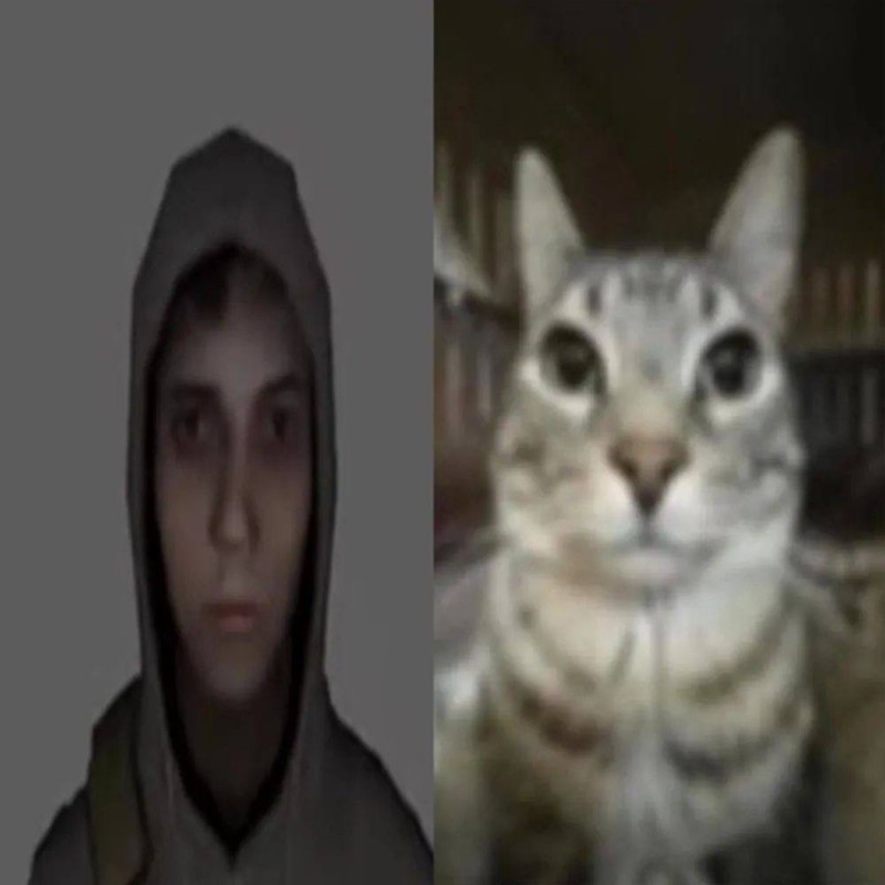 Create meme: cat Barsik, kitty , cat 