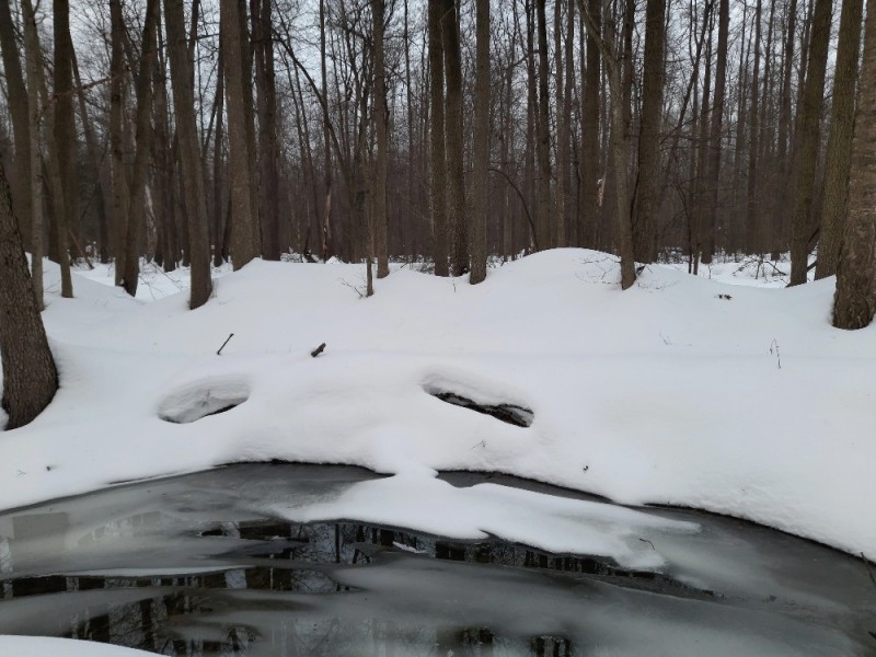 Create meme: in the winter forest, the building , river 