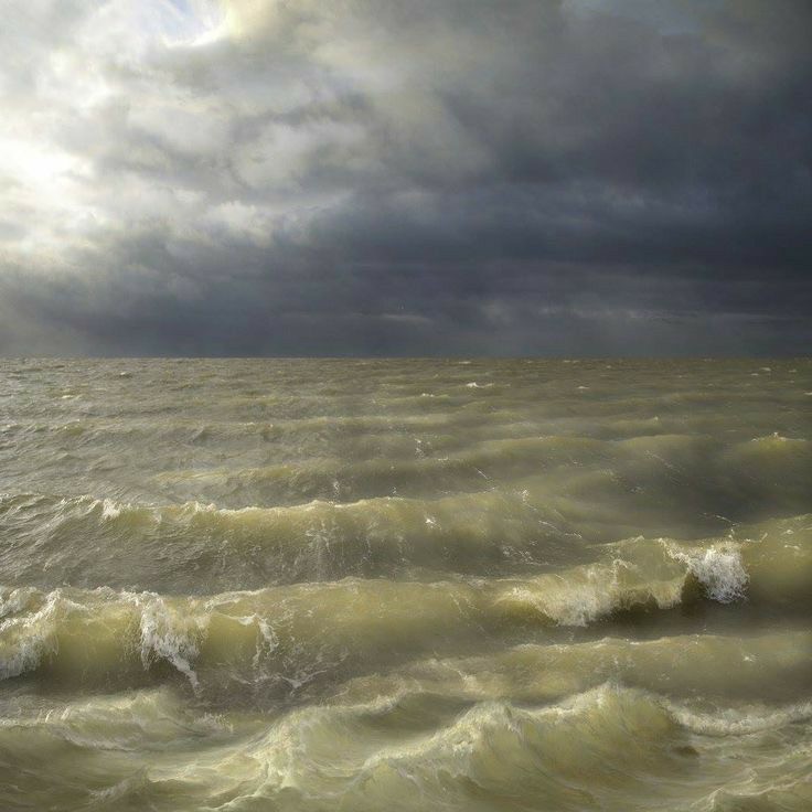 Create meme: Carla Kogelman photographer, storm on the White Sea, storm sea